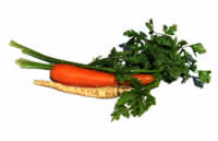 Soluble sources of fiber